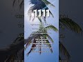 Seeing 1111 Right Now? Pay Attention