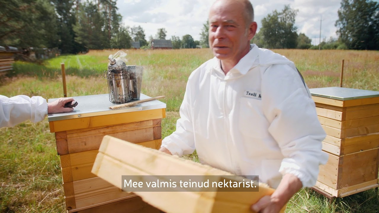 Talu Toidab | Taali mahemesila