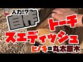 自作スエーデントーチ！～高級原木ヒノキを使ってDIY、ストーブや焚き火台になるスエーデントーチを作ったよ♪　パート①