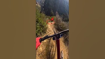 Mountain Biker