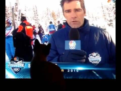Kitty-lympics - 2010 Female Downhill Skiing Cat-as...