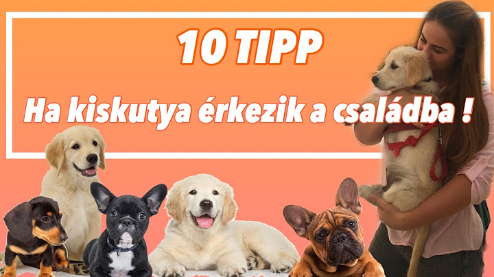 10 TIPP | Ha kiskutya érkezik a családba !