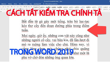 Cách tắt kiểm tra chính tả trong Word 2010, 2013, 2016, 2019