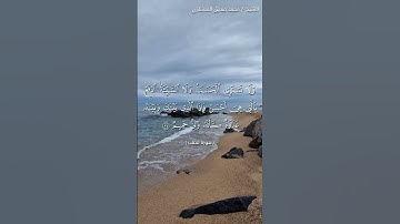 🌺القرآن الكريم 🌺ما تيسر من سورة فصلت