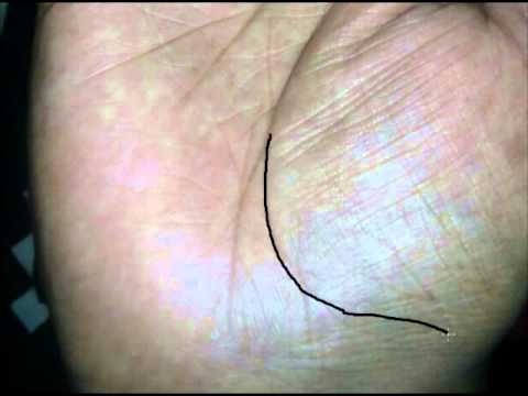 sample palm in detail ..split on lifeline palmistry - YouTube