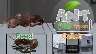 Ant Sim Tycoon (ant keeping game catch, care, feed...) screenshot 2