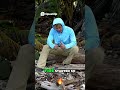 @JasonTheWeenieSurvival Challenge First Night Shelter Fails & Fire Attempts! #shorts #shortvideo