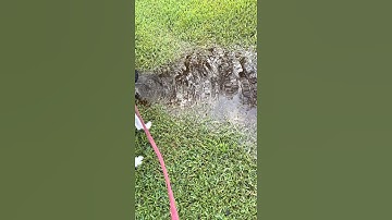 Wave dispersion in a rain puddle