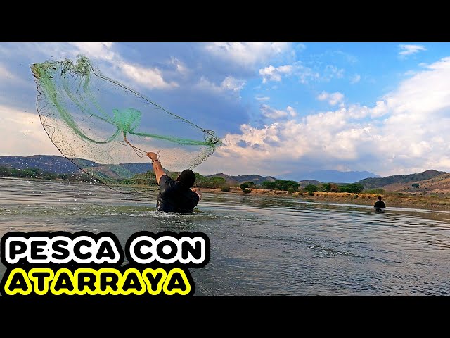 ASÍ ES LA PESCA CON ATARRAYA EN EL SALVADOR CON EL AGUA HASTA LOS HOMBROS 