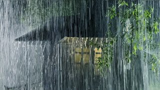 Heavy Rainstorm & Strong Thunder Sounds on Tin Roof of Farmhouse at Night | White Noise for Sleeping