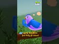చిలకరాజు వారసుడు | Chilaka Raju Varasudu Story  #shorts #ytshorts #cartoons #trending