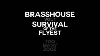 Too Many Zooz - Concerto for Bari and Sludge Pt. 1 (Audio) | Brasshouse Volume 1