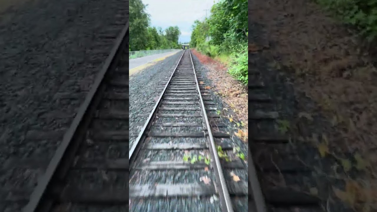 Willamette Shore Trolley with Porchello - 5/22/25