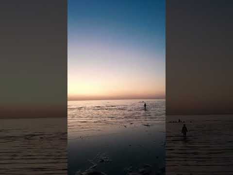 احبك حيل احبك