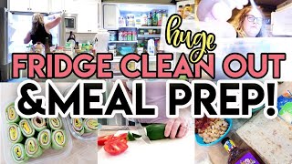 *NEW* FRIDGE ORGANIZATION + MEAL PREP! ✨ JEN CHAPIN