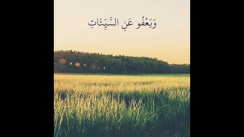 وهو الذي يقبل التوبة عن عباده للقارئ سمير عزت