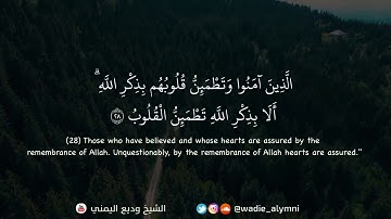 من روائع الشيخ وديع اليمني - تلاوة رائعة من سورة الرعد | ﴿ ألا بذكر الله تطمئن القلوب ﴾