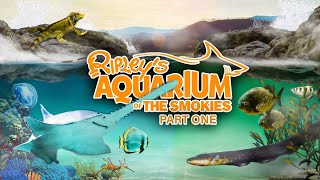 Zoo Tours Ep. 91: The Ripleys Aquarium of the Smokies | Part One