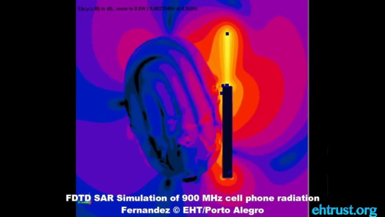 Radiofrequency Radiation/FDTD SAR Simulation of a 900 MHz cell phone