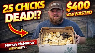 25 Dead Chicks… Here’s What Murray McMurray Actually Did (Homestead Rebuild Day 21)