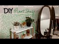 DIY Plant Shelf | Beginners Plant Haul | VLOG ft. Guavvaboi