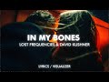 Lost Frequencies David Kushner In My Bones Lyrics Visualizer mp3