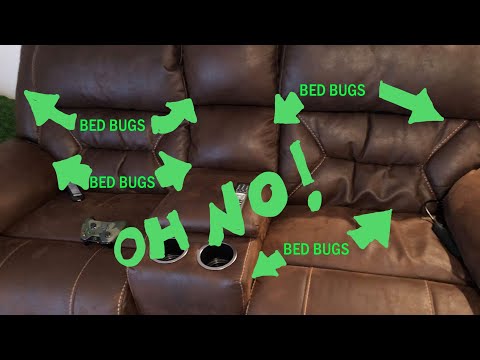 Bed Bugs in my COUCH! | Where to check a couch for BED BUGS | Bed Bug Pro DIY