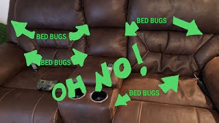 Bed Bugs in my COUCH! | Where to check a couch for BED BUGS | Bed Bug Pro DIY