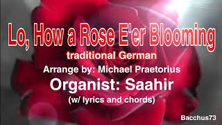 Lo, How a Rose E 'er Blooming (w/ lyrics and chords) Organist: Saahir