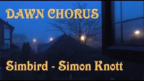 Birds Dawn Chorus ♪♫  Ambient Sounds ♫ ♪ British Birds UK
