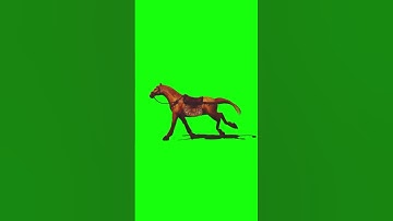 Green Screen Horse | #ytshorts #yt_shorts #yt #trending