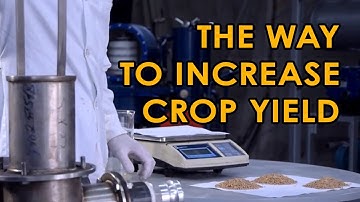 Seeds Preparation - the Use of the Electromagnetic Field to Increase Productivity