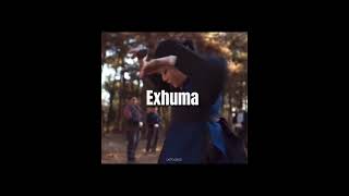 Exhuma (SKZ Funny ver.) #straykids #exhuma
