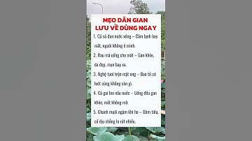 5 Mẹo Chữa Bệnh Dân Gian - Đơn Giản Nhưng Hiệu Quả Bất Ngờ #dsdaiminh