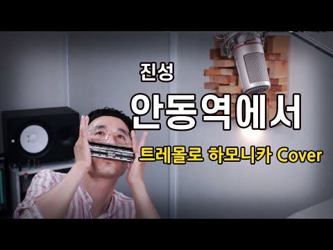진성 안동역에서 하모니카 Cover 정훈