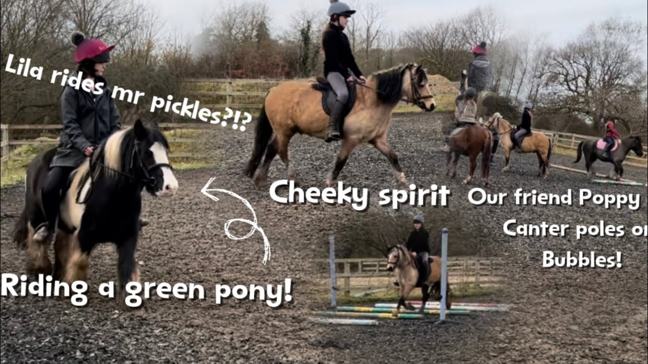 RIDING A GREEN PONY FOR FIRST TIME?! Training Pickles #01 || + Naughty ...
