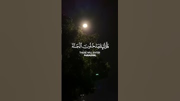 من عمل سيئة فلا يجزى إلا مثلها  قرآن  ما تيسر من سورة غافر القارئ ياسر الدوسري