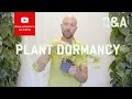 Plant Dormancy - why and how does it work?