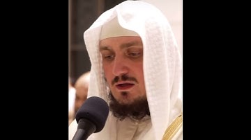 سورة الكافرون / فاتح سفرجيك