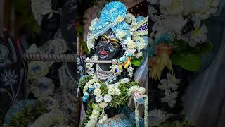 Radhe Radhe 🌸🦚 Radha Krishna Reels #bhajan #radhakrishna #krishna #shorts
