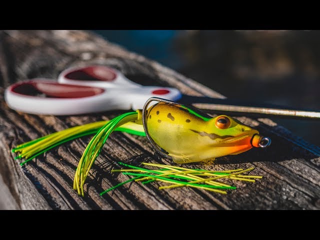 Simple Frog Modifications You Need To Try! 