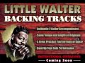 Little Walter - Harp Backing Tracks - Chicago Blues DVD.wmv