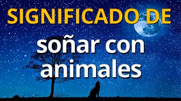 ¿Tienen sueños los animales?