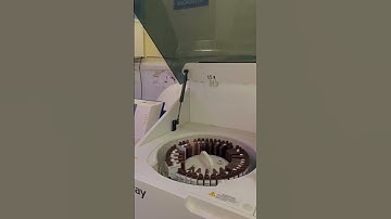 Biochemistry analyzer mindray  Bs-240pro