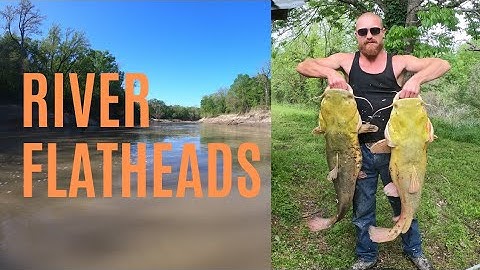 Tips for Catching Big Flatheads