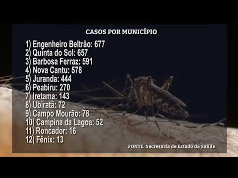 Região de Campo Mourão registra 3.621 casos de dengue
