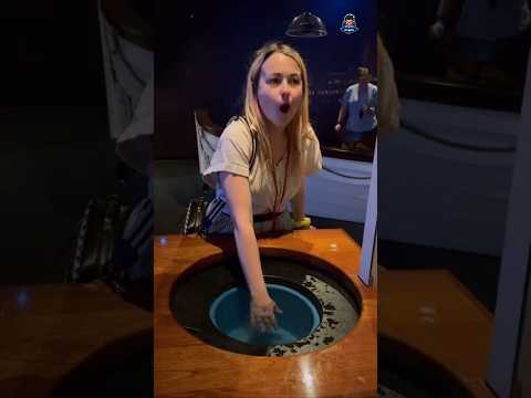 إياك تحط إيدك في المايه دي و السبب سفينة Titanic