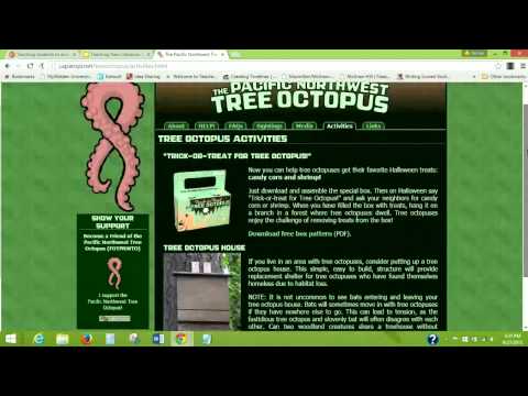 Evaluating a website-