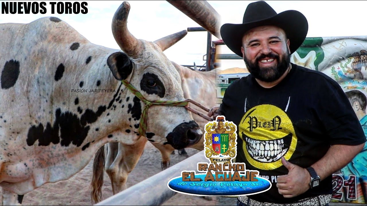 RANCHO EL AGUAJE ESTRENANDO NUEVOS TOROS EN LAS VEGAS NEVADA GIRA USA