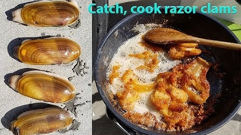 Catch and cook razor clams - Oregon